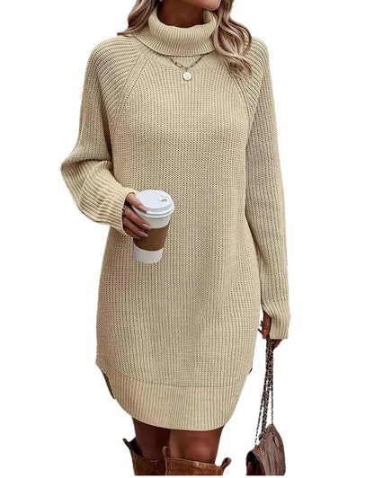 Women's Knit Sweater Dress | Turtleneck