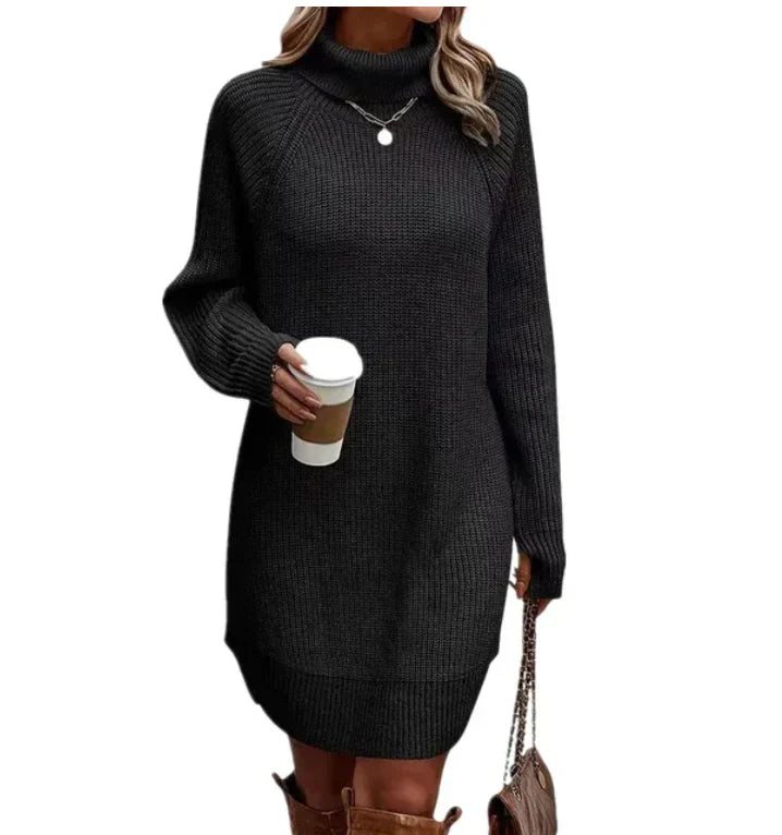 Women's Knit Sweater Dress | Turtleneck