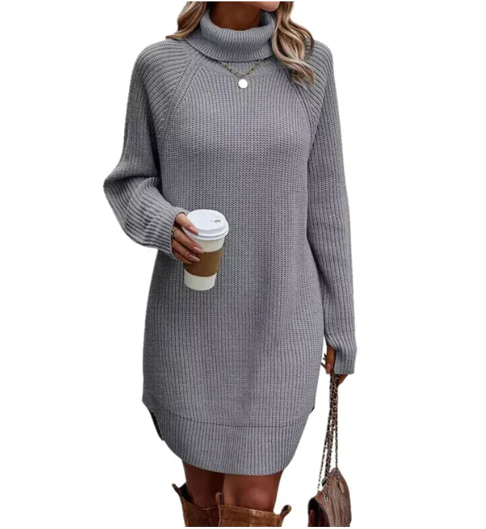 Women's Knit Sweater Dress | Turtleneck