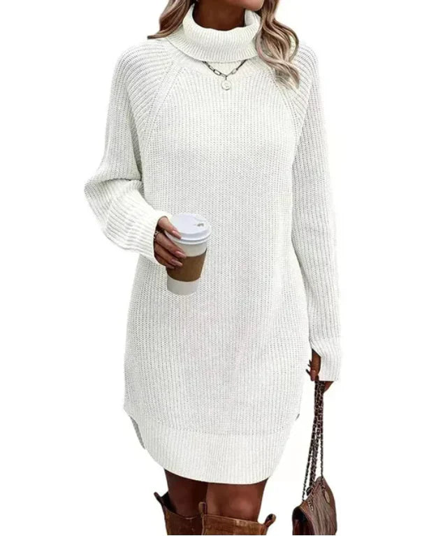 Women's Knit Sweater Dress | Turtleneck