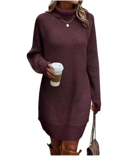 Women's Knit Sweater Dress | Turtleneck